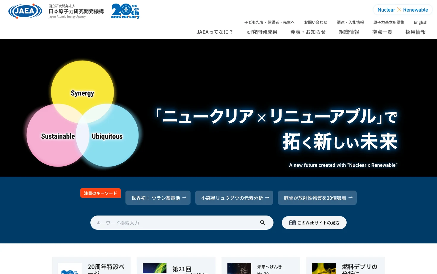 国立研究開発法人日本原子力研究開発機構 页面快照